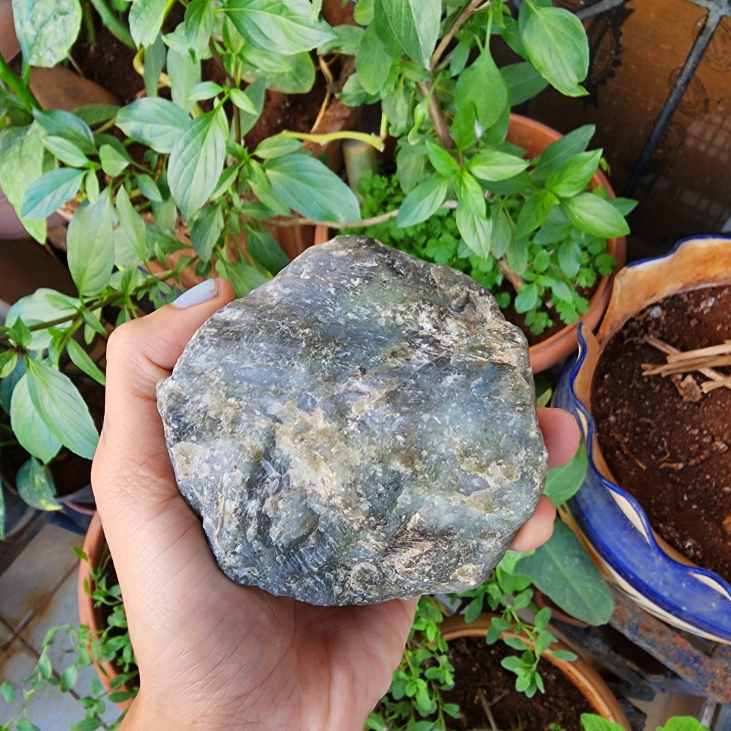 Labradorite Raw