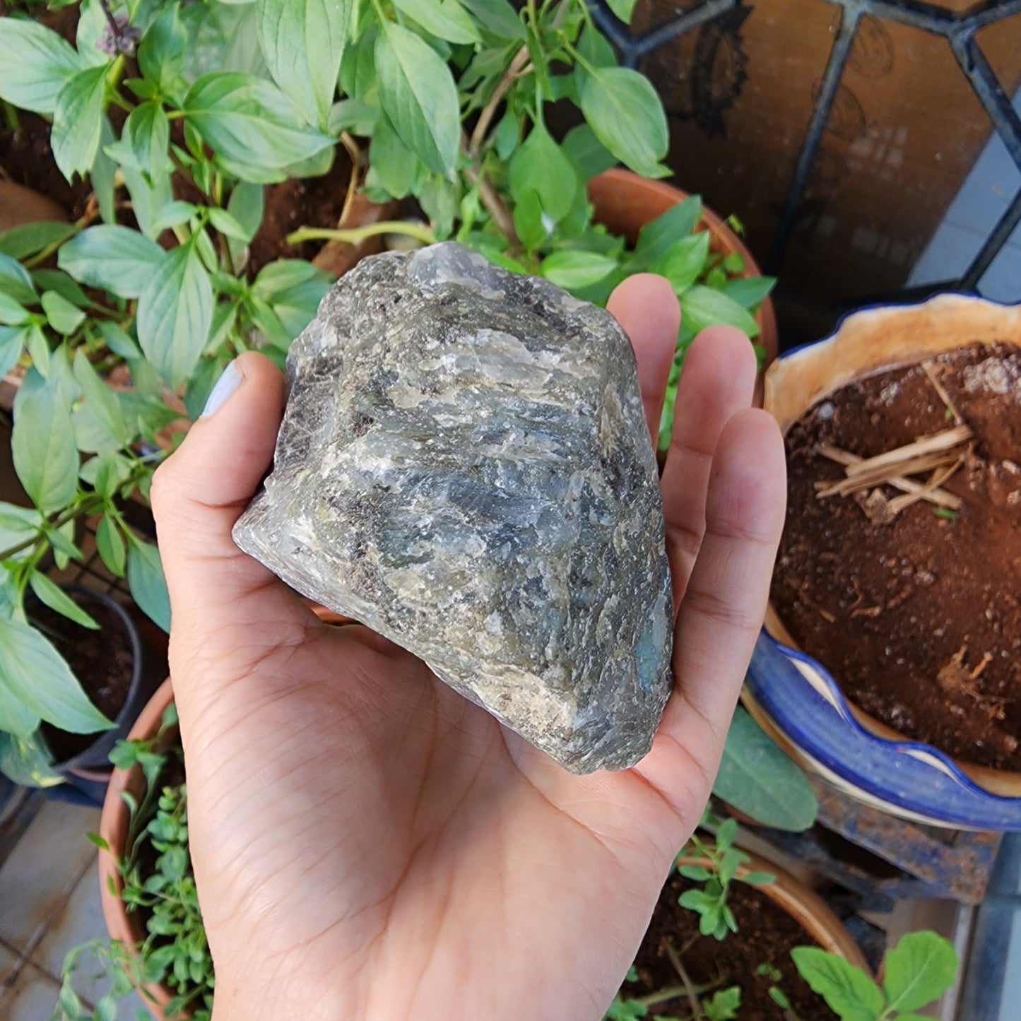 Labradorite Raw