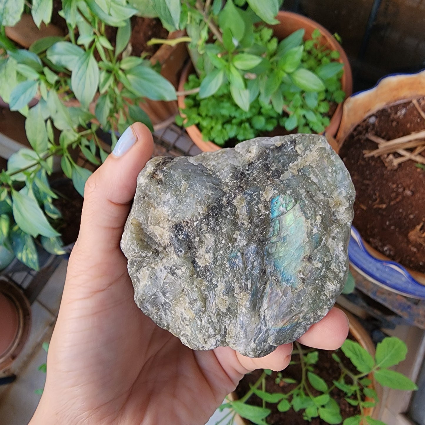 Labradorite Raw