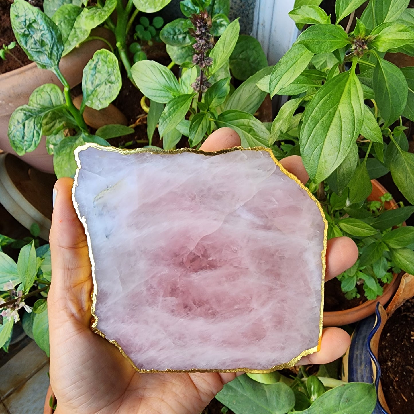 Rose Quartz Coaster 2