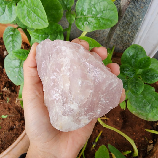 Rose Quartz Raw