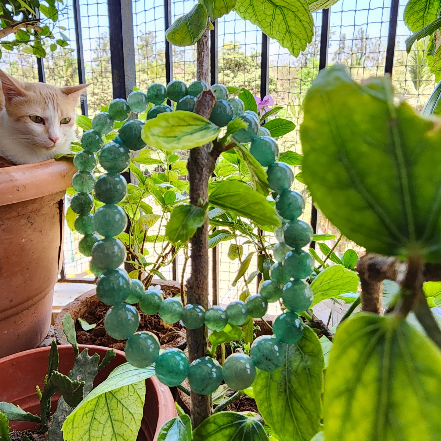 Green Aventurine Bracelet