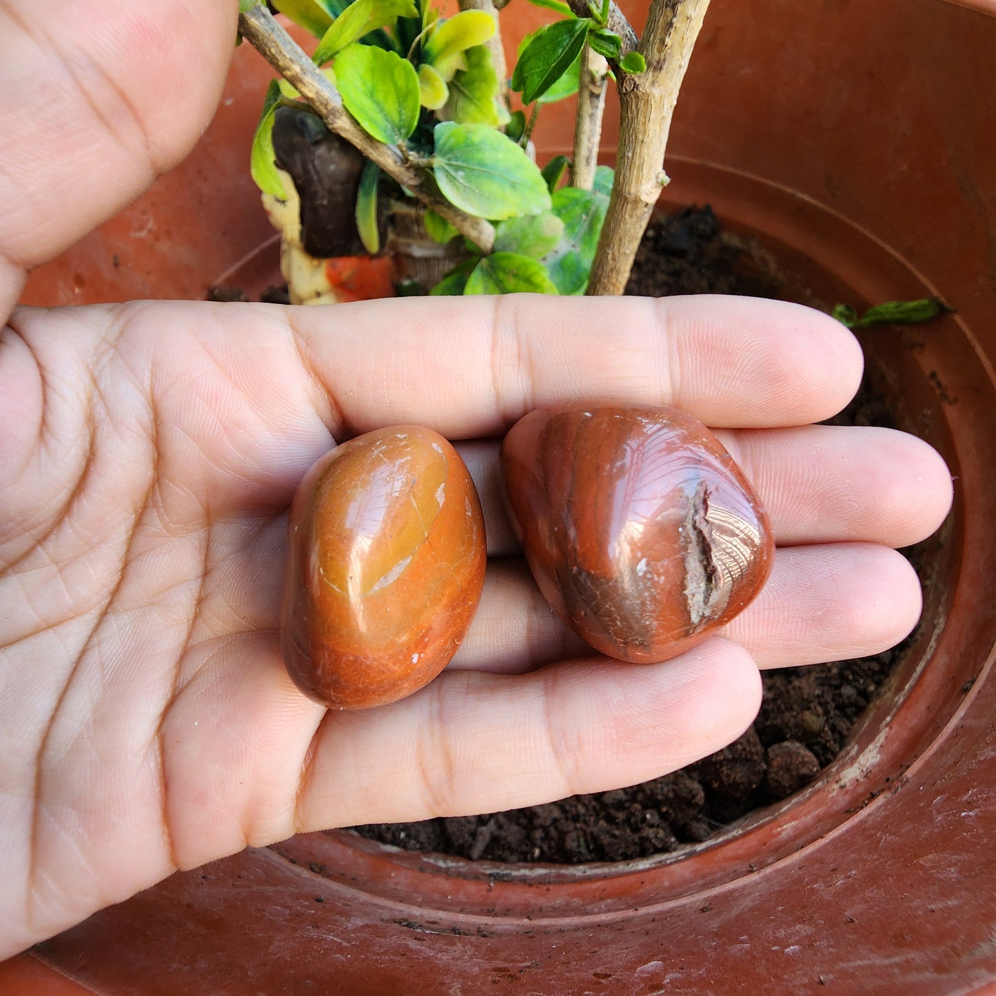 RED JASPER BIG Tumble