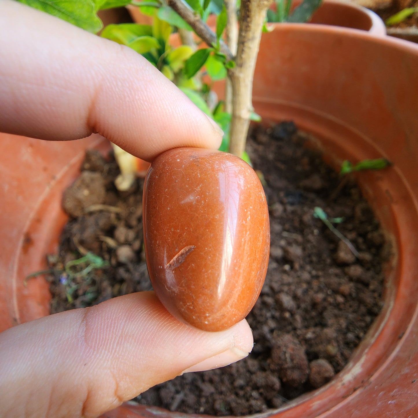 RED JASPER BIG Tumble