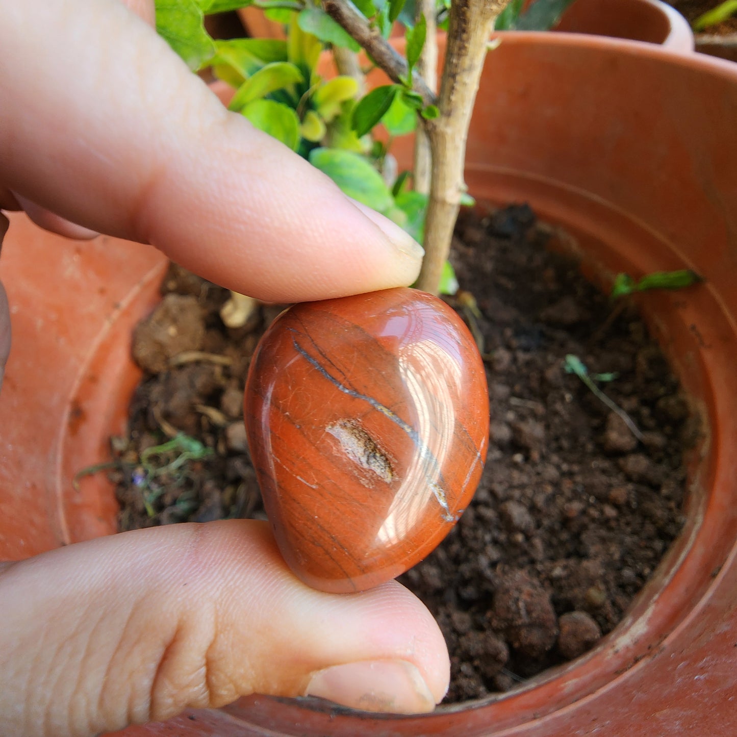 RED JASPER BIG Tumble