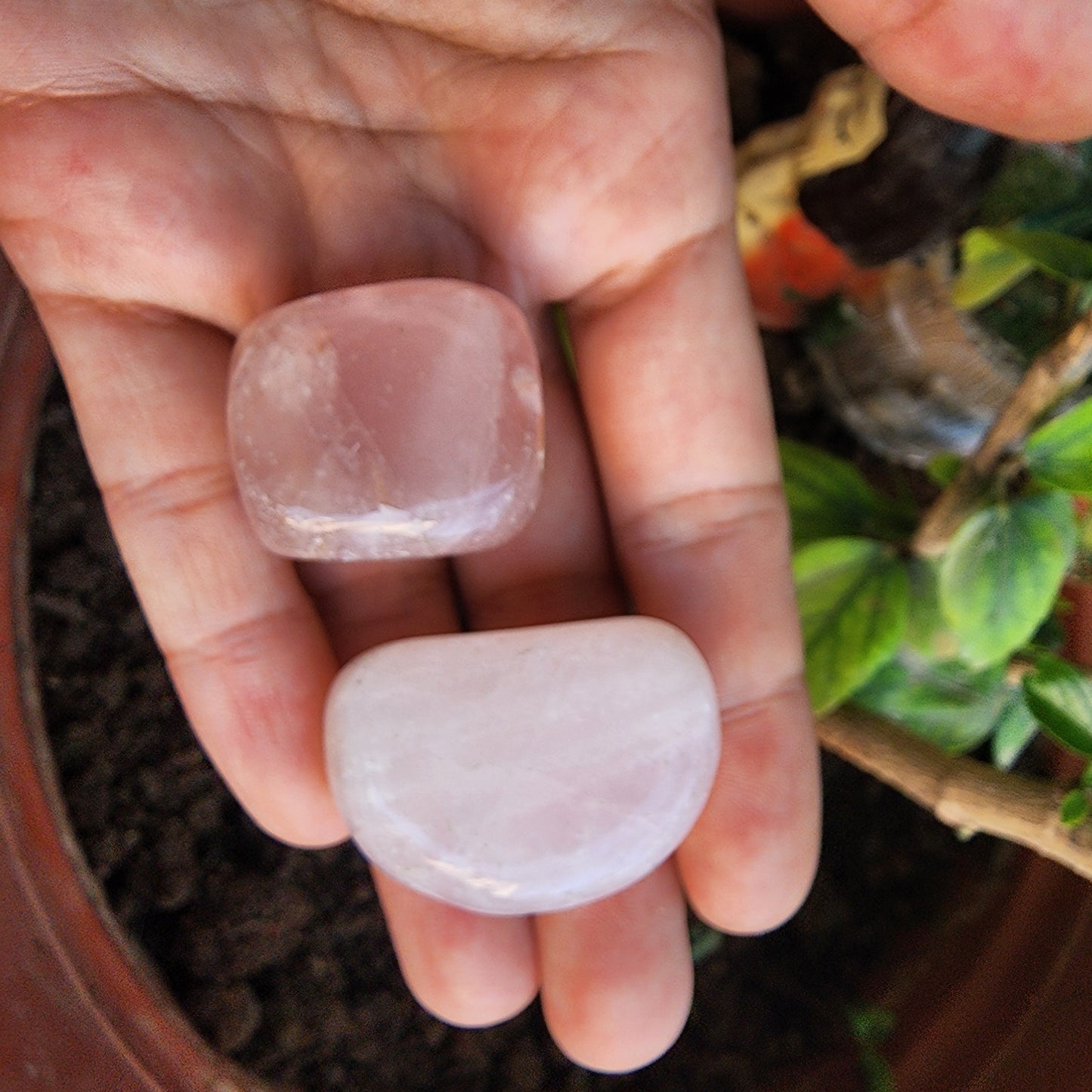 Rose Quartz BIG Tumble