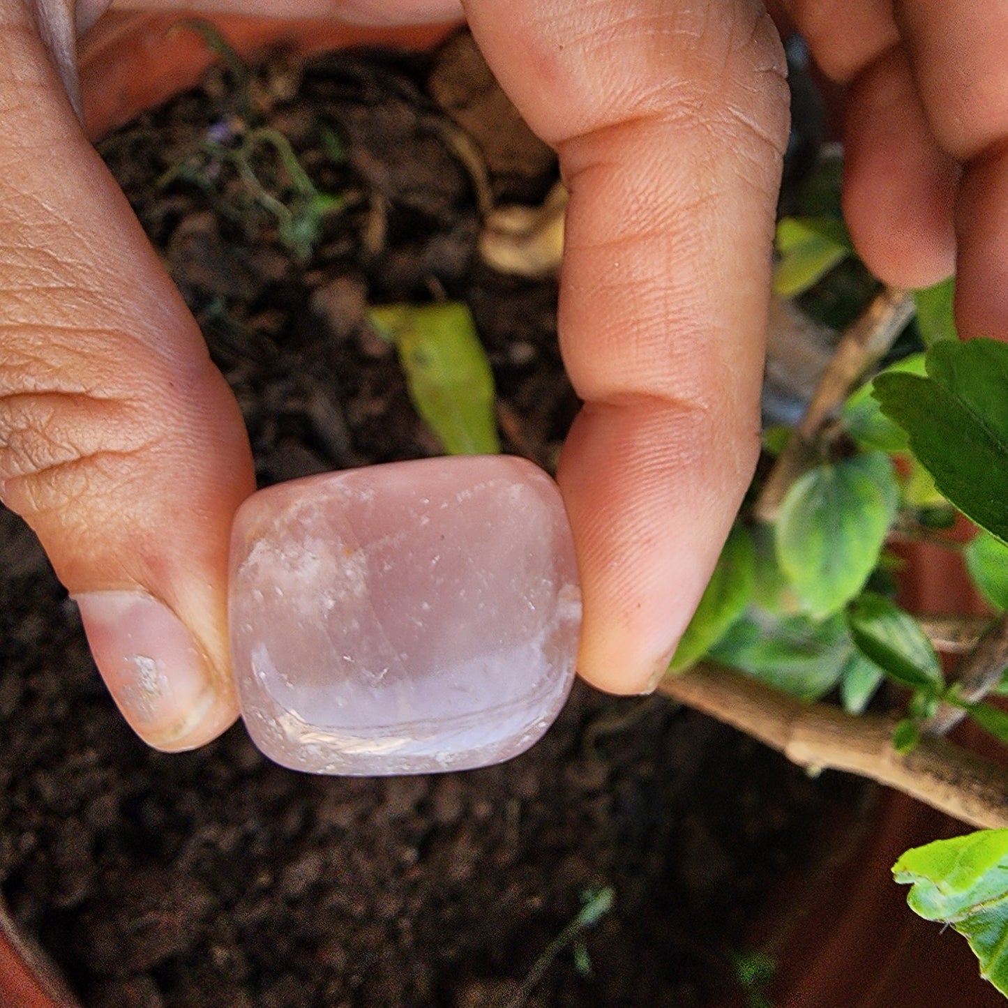 Rose Quartz BIG Tumble