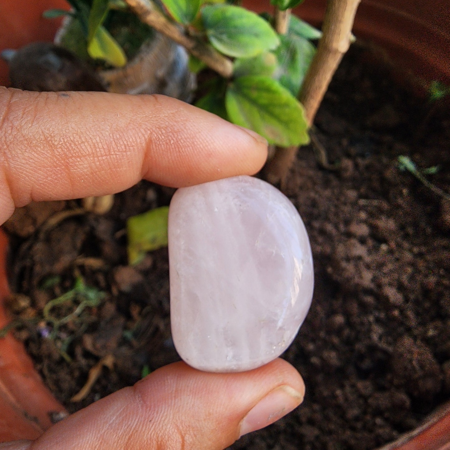 Rose Quartz BIG Tumble