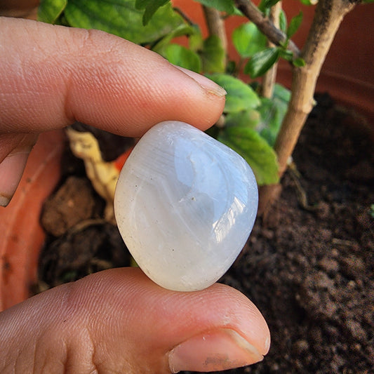 Clear Quartz Tumble (A grade)