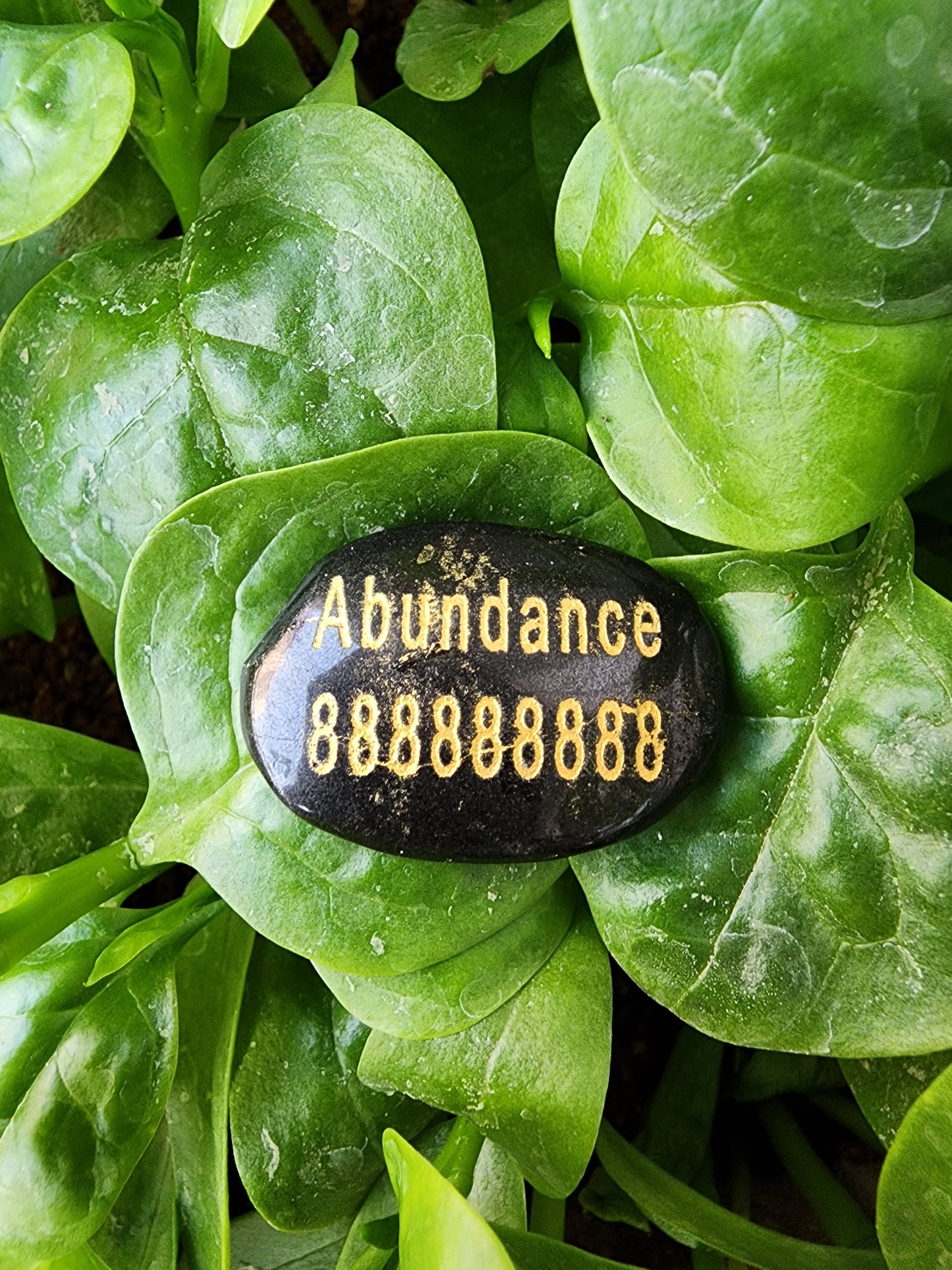 Money Magnet Abundance Cabochon (Black Tourmaline)