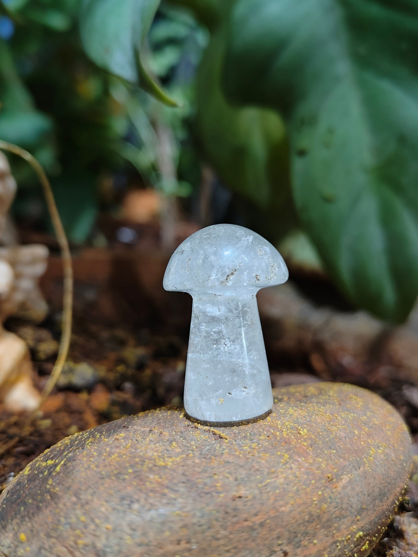 CRYSTAL MUSHROOMS