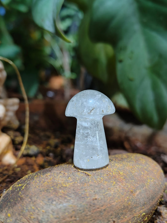 CRYSTAL MUSHROOMS