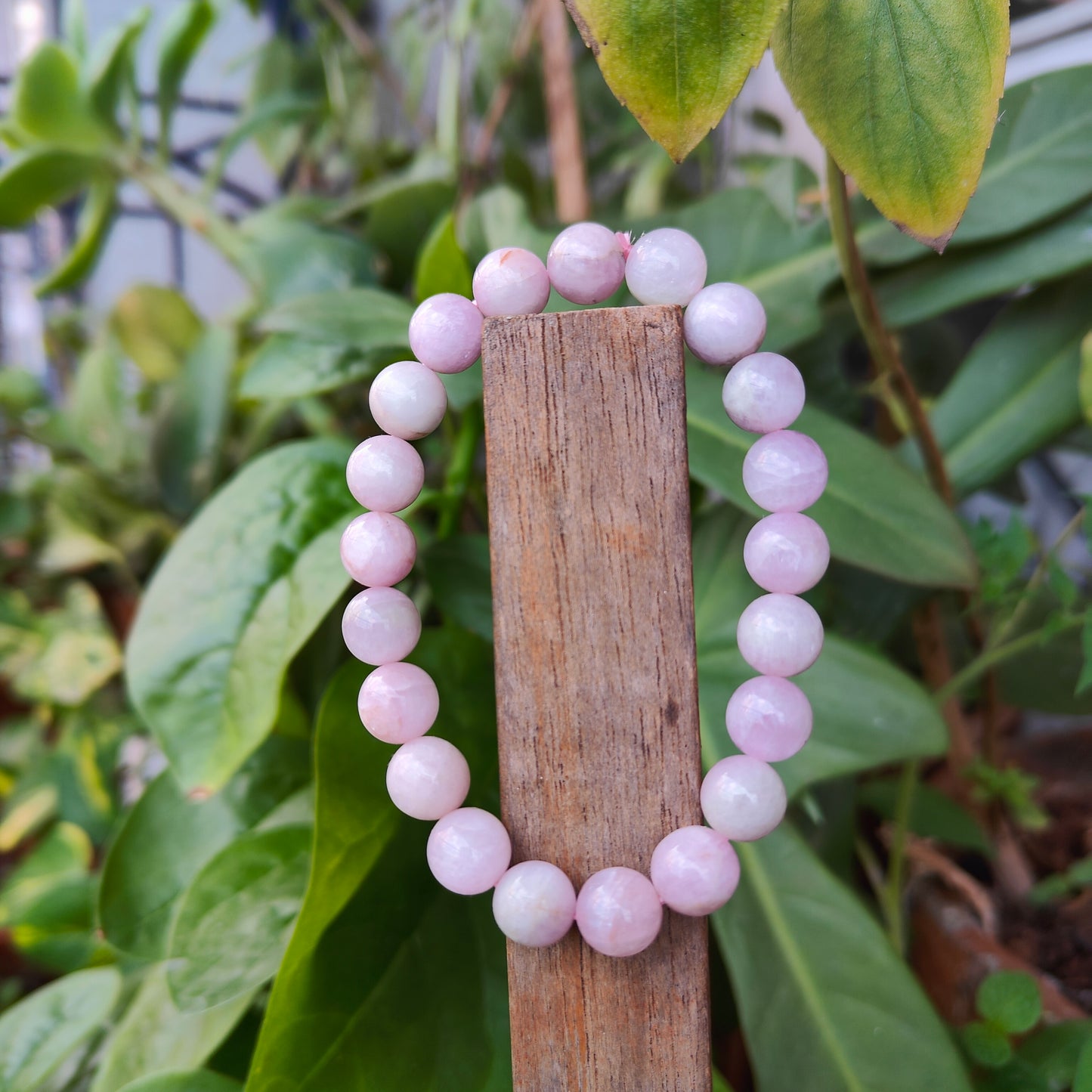 Kunzite Bracelet