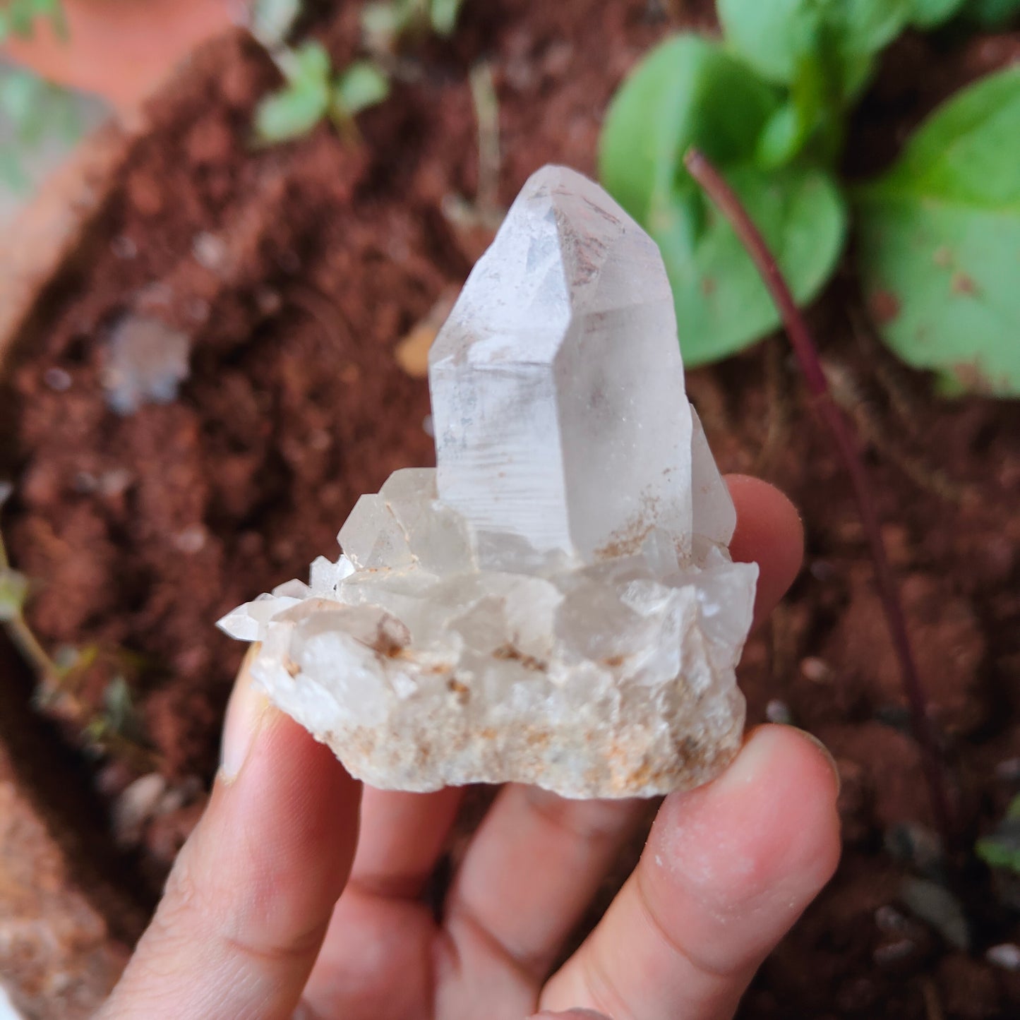 HIMALAYAN QUARTZ RAW