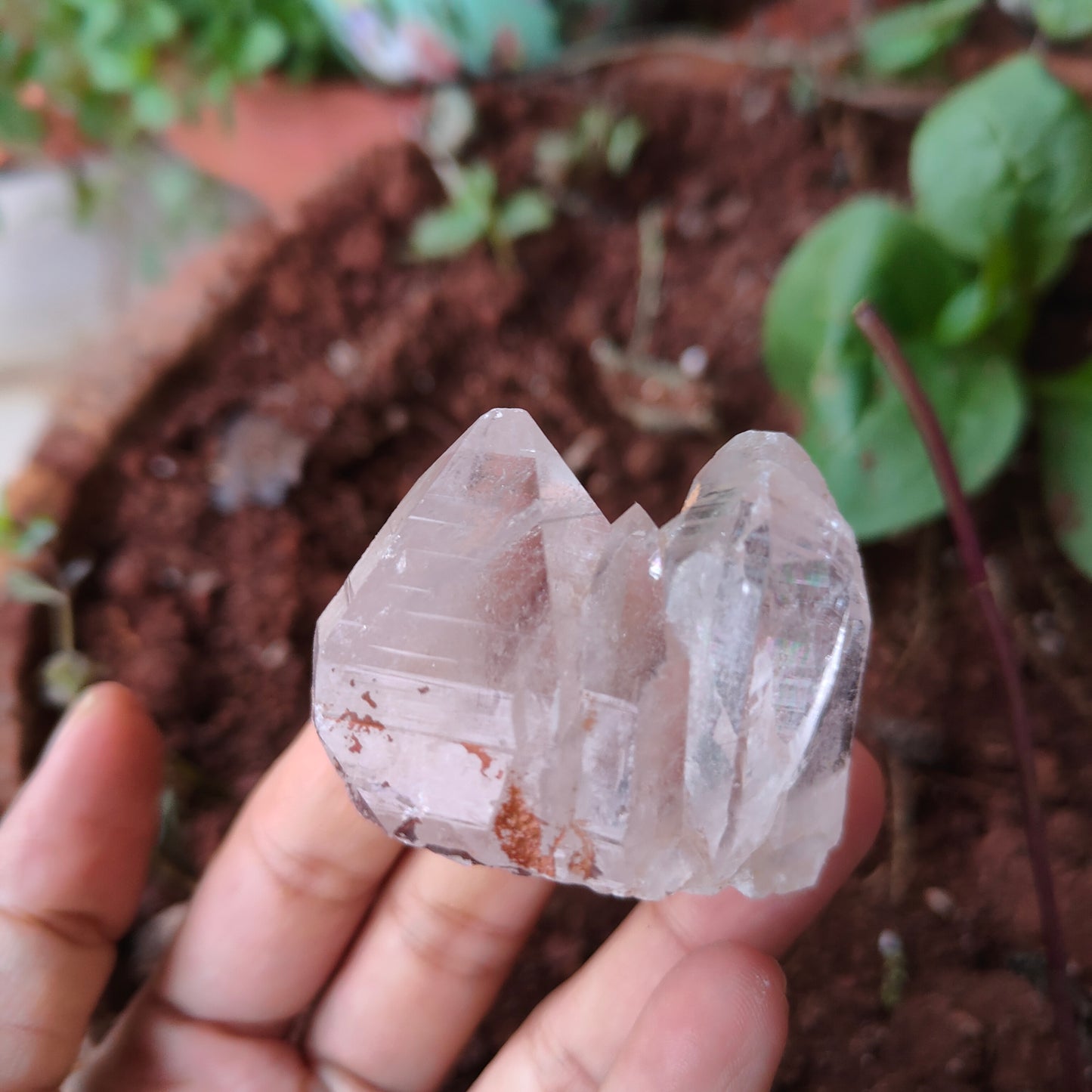 HIMALAYAN QUARTZ RAW