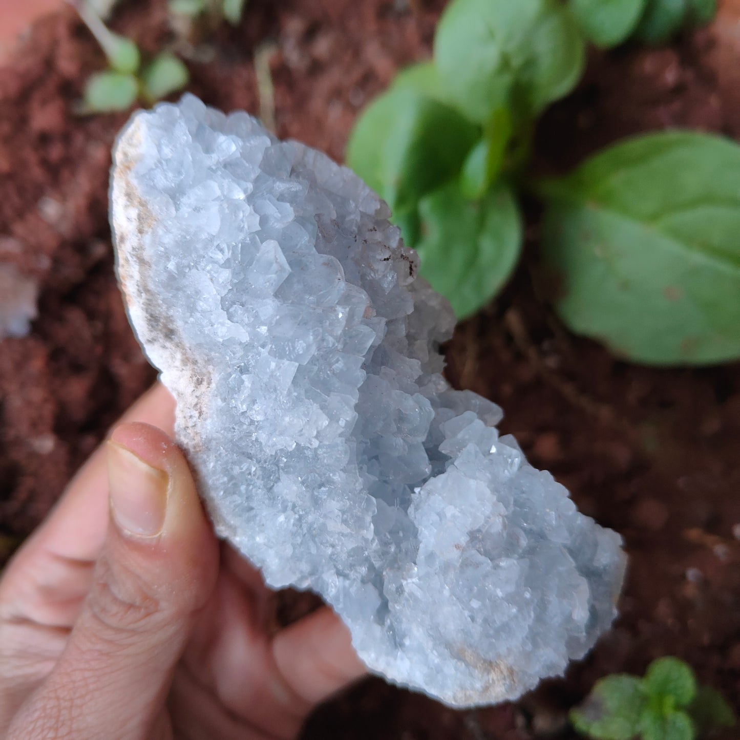 CELESTITE Raw