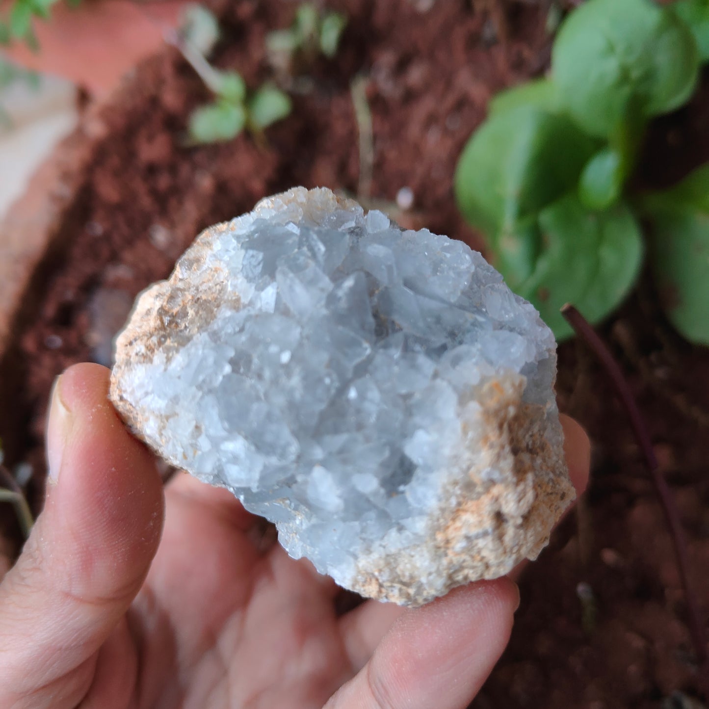 CELESTITE Raw