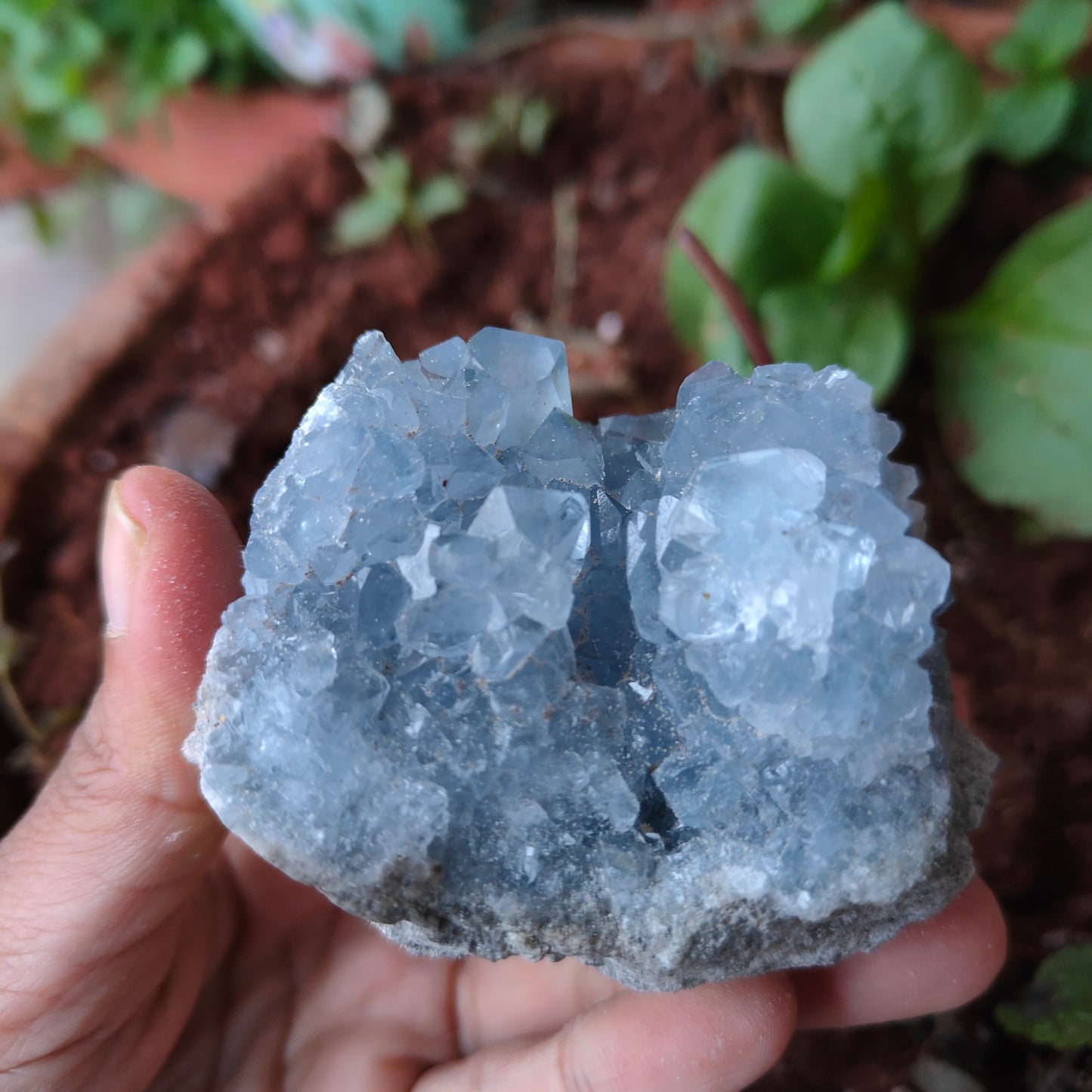 CELESTITE Raw