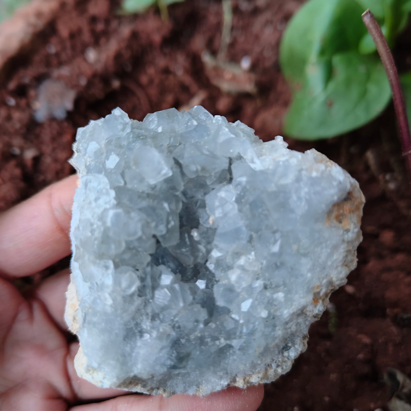 CELESTITE Raw