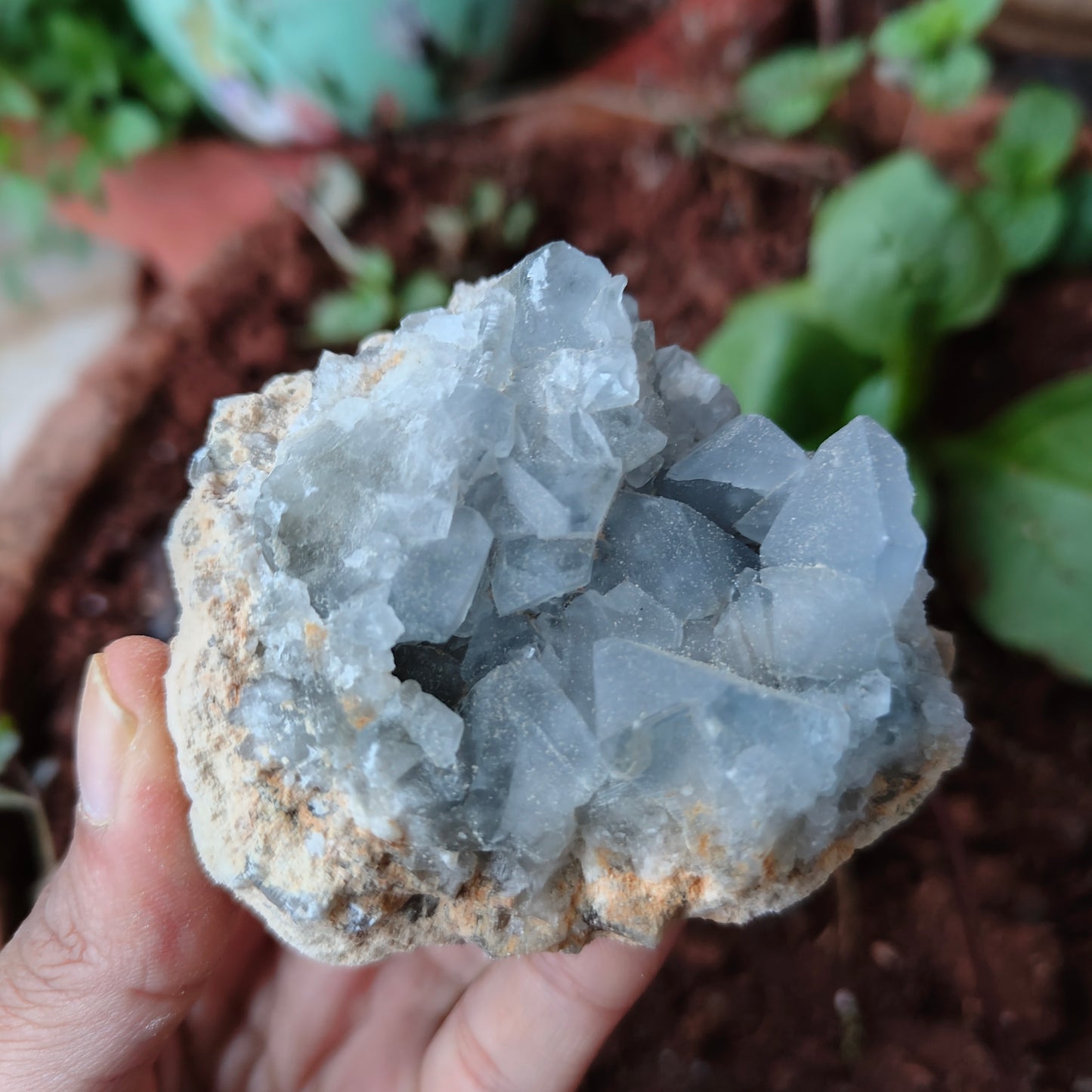 CELESTITE Raw