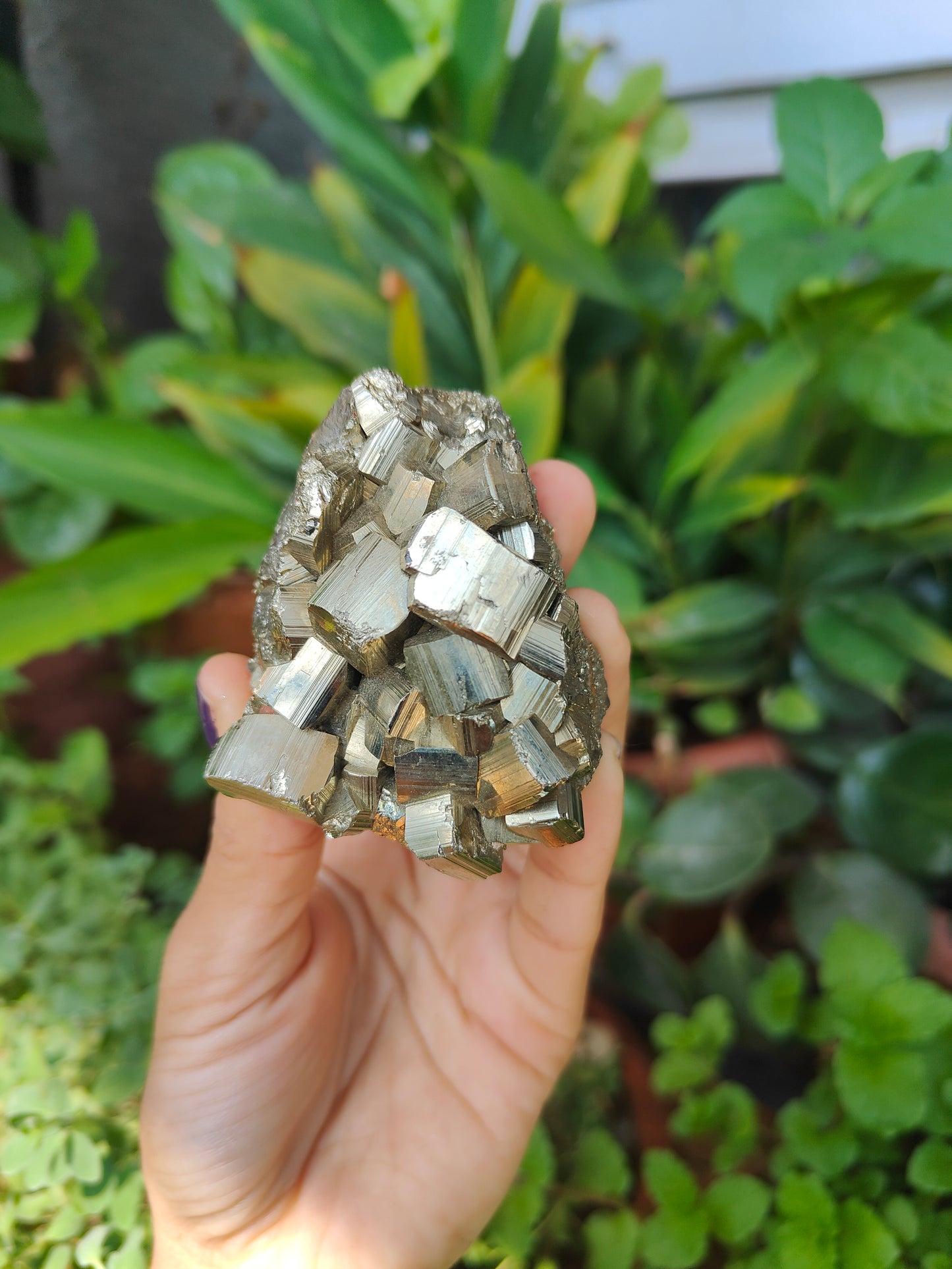 Raw Pyrite