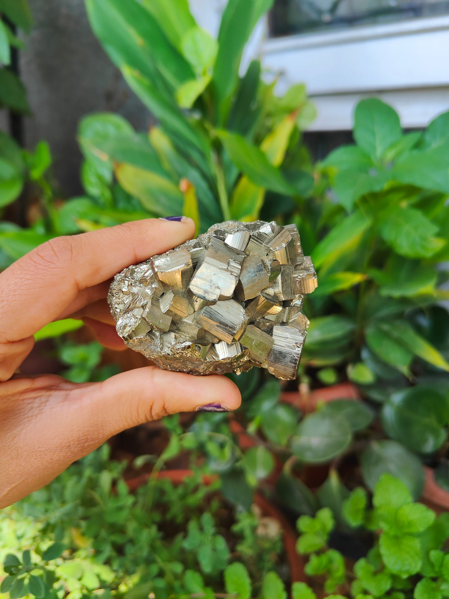 Raw Pyrite