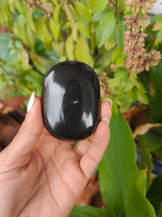 Black Tourmaline Palm Stone