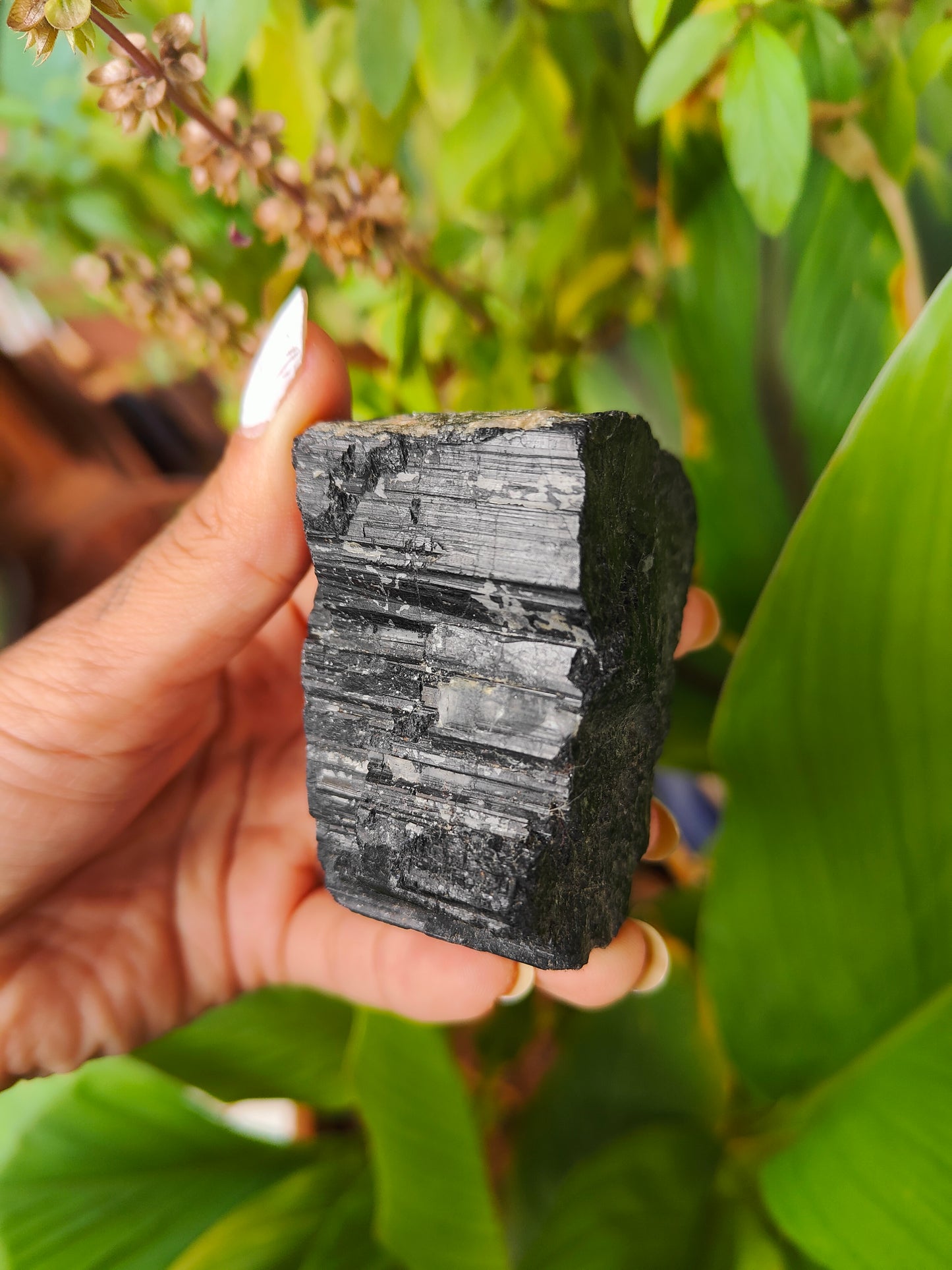 Black Tourmaline Raw