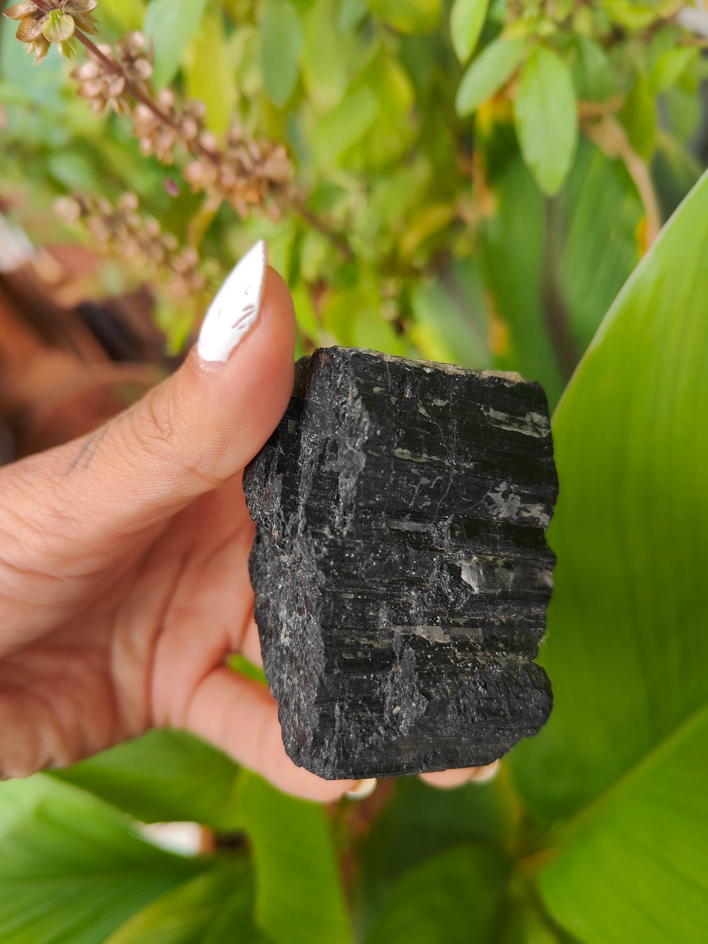 Black Tourmaline Raw