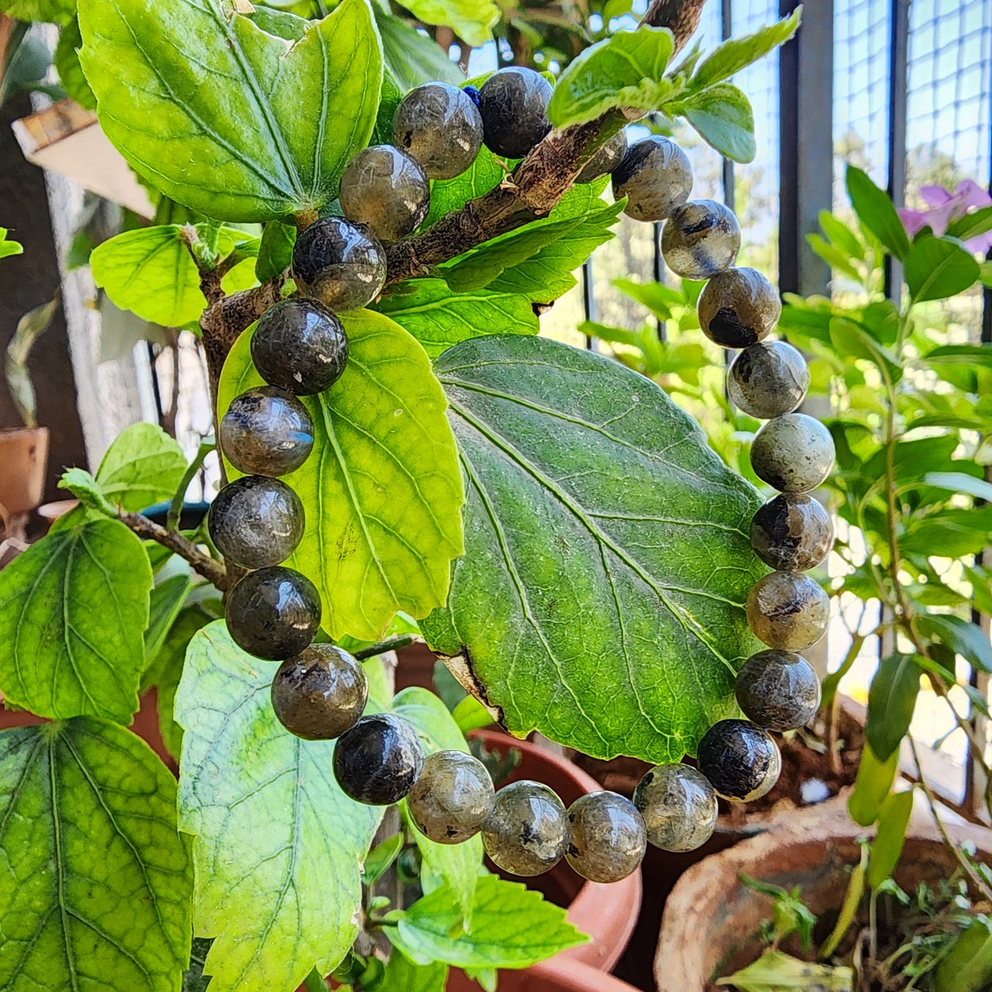 Labradorite Bracelet