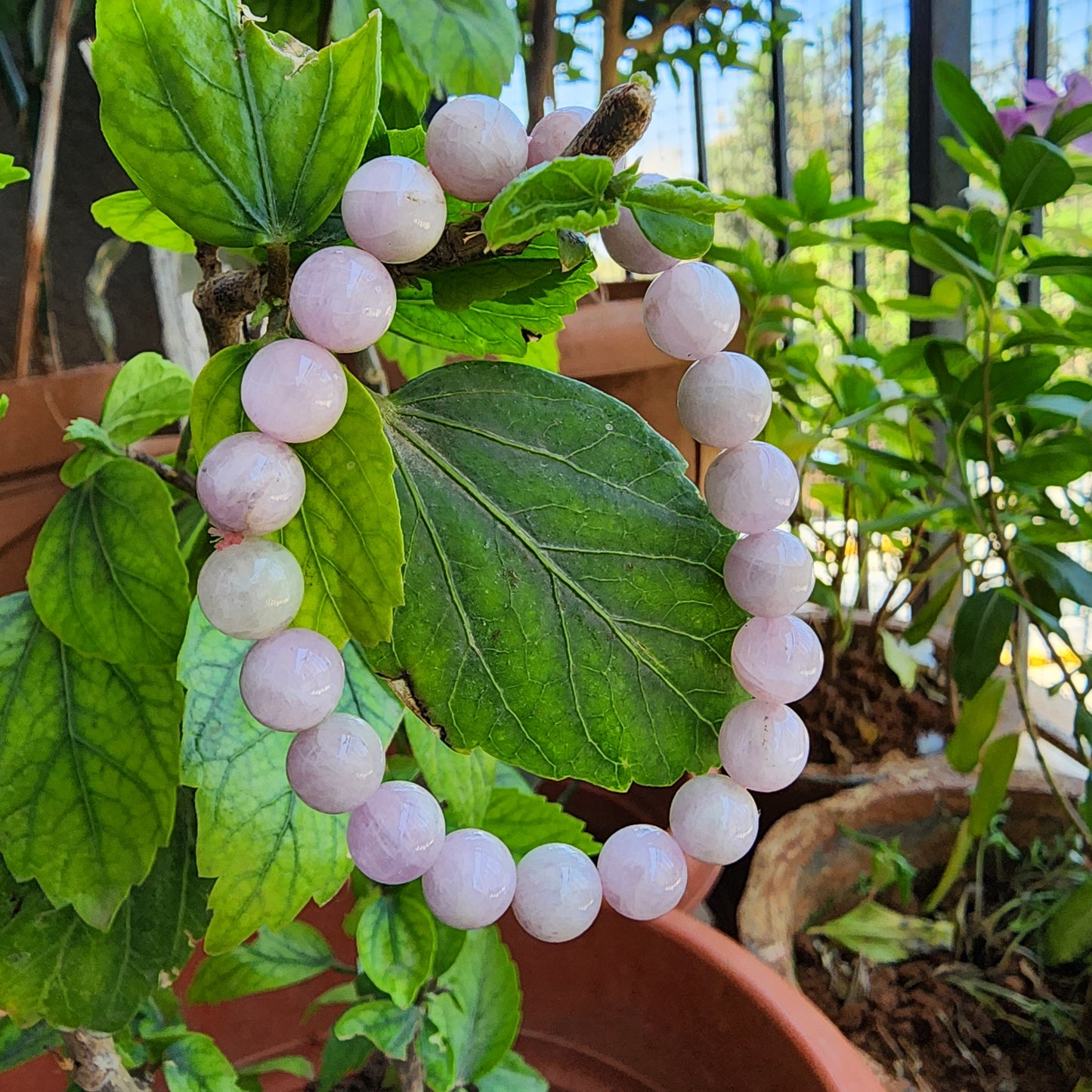 Kunzite Bracelet