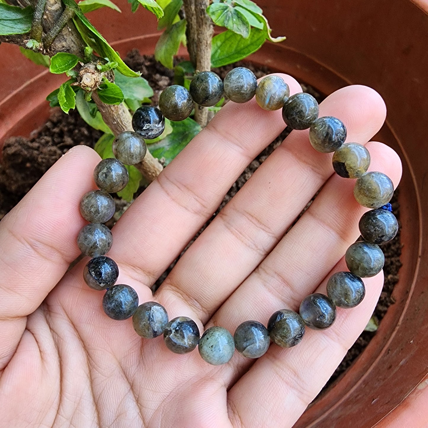 Labradorite Bracelet