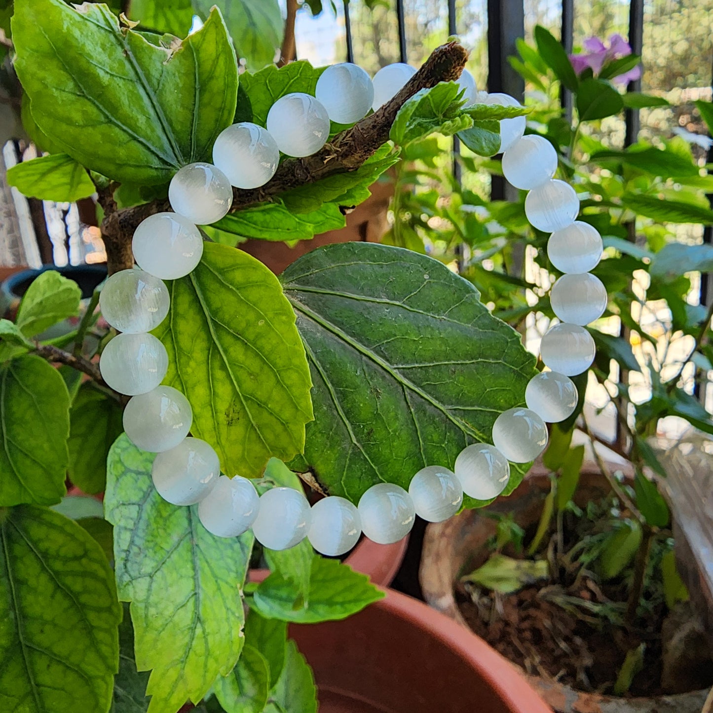 Selenite Bracelet