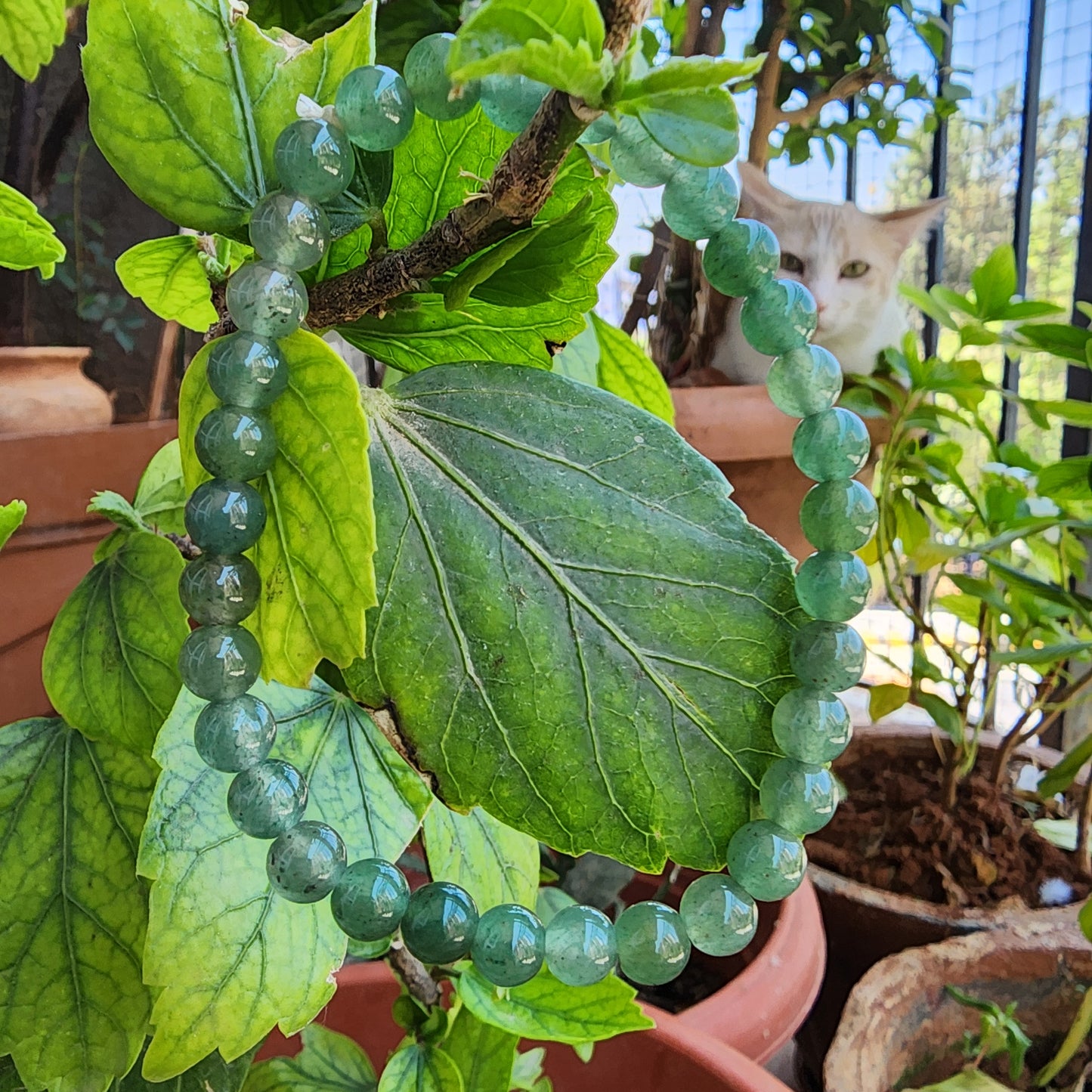 Green Aventurine Bracelet